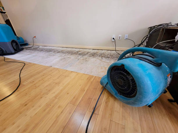 Professional Structural Drying technician working in Harrison, AR